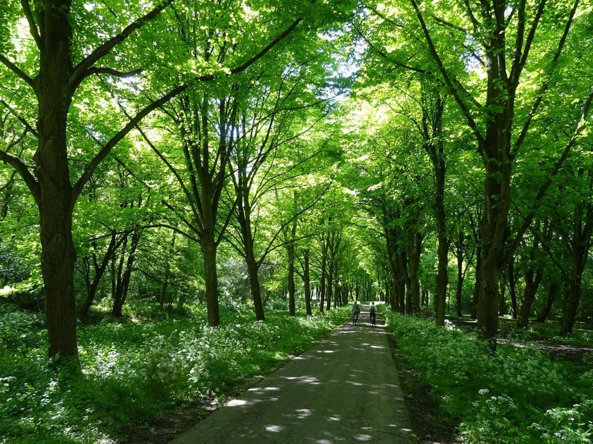 Guesthouse At The Amstel River With 2Br 2Ba And Garden 암스텔벤 외부 사진